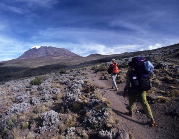 5 Days Kilimanjaro Climbing Via Marangu Route