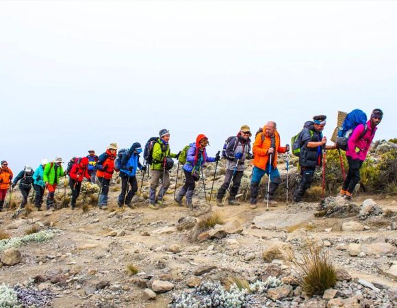 6 Days Kilimanjaro Climbing Via Machame Route