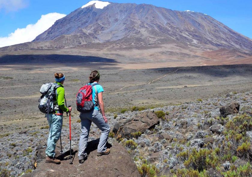 7 Days Kilimanjaro Climbing Via Lemosho Route